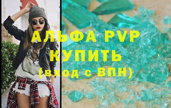 стафф Арсеньев