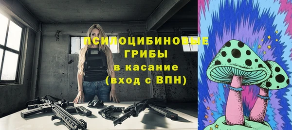 хмурый Армянск