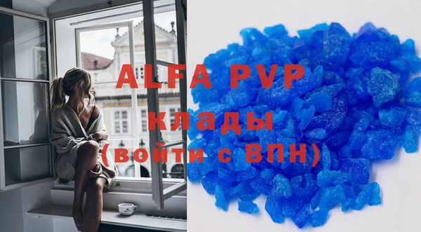 стафф Арсеньев