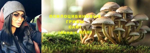стафф Арсеньев