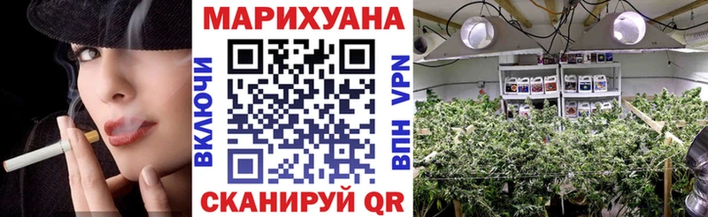 купить наркотик  Гурьевск  Каннабис марихуана 